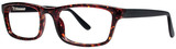Tortoise Black - Clear