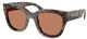 Woods Tortoise - Brown
