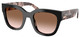 Black - Brown Gradient