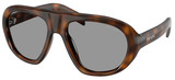 Juniper Tortoise - Grey