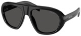 Juniper Tort - Cl Bl - Violet Lt Fil