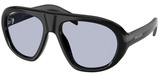 Juniper Tortoise - Grey