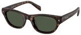 Havana - Dark Grey Polarized
