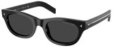 Black - Black Polarized