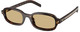 Root Tortoise - Light Brown
