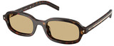 Root Tortoise - Light Brown
