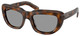 Juniper Tortoise - Grey