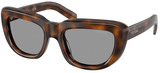 Juniper Tortoise - Grey