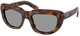 Juniper Tortoise - Grey
