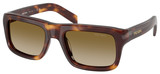 Classic Tortoise - Brown Grad