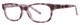 Lilac Tortoise - Clear