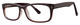 Brown - Clear