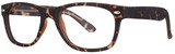 Modern Plastics I Incognito Tortoise Matte