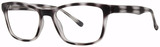 Modern Plastics I Joshua Black Tortoise