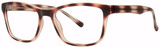 Modern Plastics I Joshua Brown Tortoise