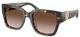 Brown Tortoise - Brown