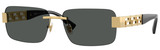Versace VE2298 100287