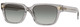 Transparent Grey - Grey Grad