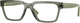 Transparent Mallard Green - Clear