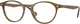Transparent Olive Green - Clear