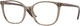 Transparent Brown - Clear