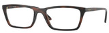 Brown Havana - Clear