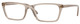 Transparent Caramel - Clear
