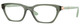 Transparent Mallard Green - Clear