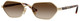Pale Gold - Brown Gradient
