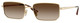 Pale Gold - Brown Grad