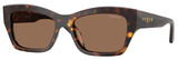 Dark Havana - Dark Brown