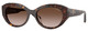 Dark Havana - Gradient Brown