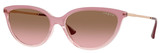 Grad - Transp Pink - Pink Grad Brown