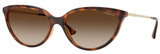 Dark Havana - Gradient Brown