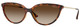 Dark Havana - Gradient Brown