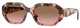 Rose Havana - Pink Gradient Brown