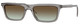 Transp Grey - Green Grad Brown