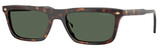 Dark Havana - Dark Green