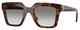 Brown Havana - Grey Grad