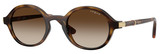 Dark Havana - Gradient Brown
