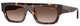 Dark Havana - Gradient Brown