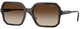 Brown Havana - Brown Gradient