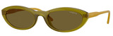 Transp Olive Green -dk Brown