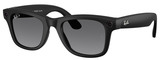 Black - Graphite Polarized