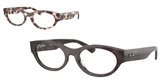 Havana Grey / Clear
