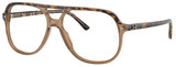 Havana - Brown - Clear