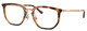 Striped Havana - Clear