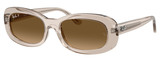 Transp Beige - Grad Brown Polar