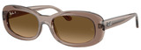 Transp Beige - Grad Brown Polar