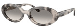 Ray-Ban RB2223F 144832